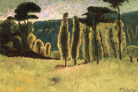 Pines and Poplars in a Field