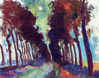 Road Bordered by Trees