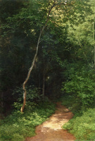 Forest Track