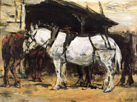 Harnessed Horses
