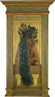 A Peacock