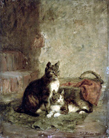 Cats