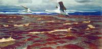 Swans on the Kama River