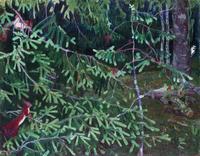 Forest Dwellers