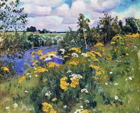Wild flowers