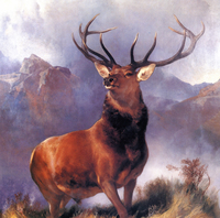 Monarch of the Glenn