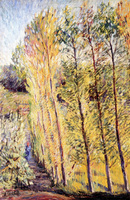 Avenue with Poplar Trees