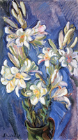 Lily