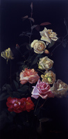 Still Life of Roses
