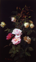 Still Life of Roses