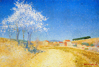 Almond Trees in Flower