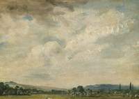Harnham Ridge, Near Salisbury