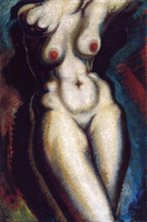 Torso