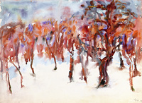 Trees in the Snow