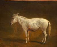 White Mule