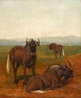 Gnus