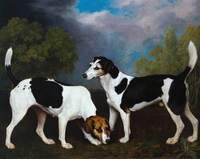 A Couple of Foxhounds