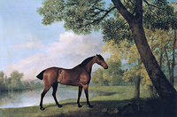 Bay Hunter by a Lake