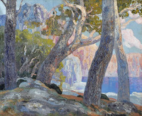Trees in Mallorca