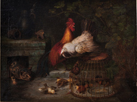 Rooster, hen, chicks and cat
