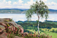 Summer Day