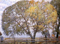 The Willow