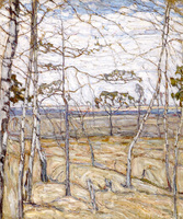 Birches