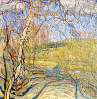 Spring Symphony