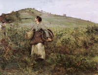 Harvest Time