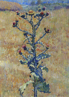 Thistle