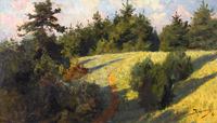 Forest and Field