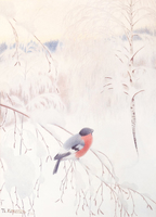 Winter Morning