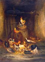 Poultry