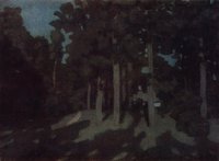 Moonlit Night