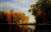 Autumn Woods