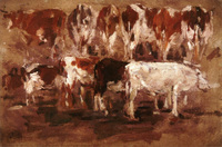 Study of Cows