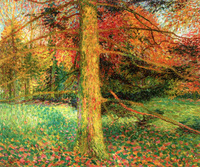 Forest in Autumn, Sint-Martens-Latem