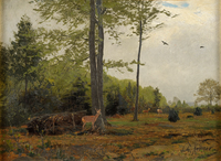 Forest clearing with deer