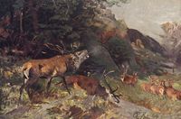 Deer Fight