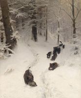 Boars in winter forest