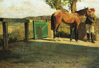 Horse in the Sunlight