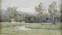 River landscape