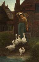 Michaelmas Geese