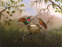 Two Hummingbirds at a Nest