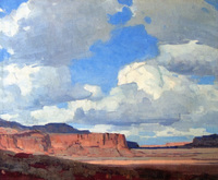 Desert Sky