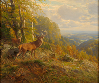 Deer