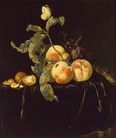 Still Life of Fruit