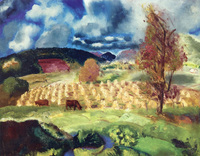 Cornfield and Harvest