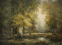 Forest Landscape