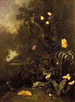 Plants and Insects